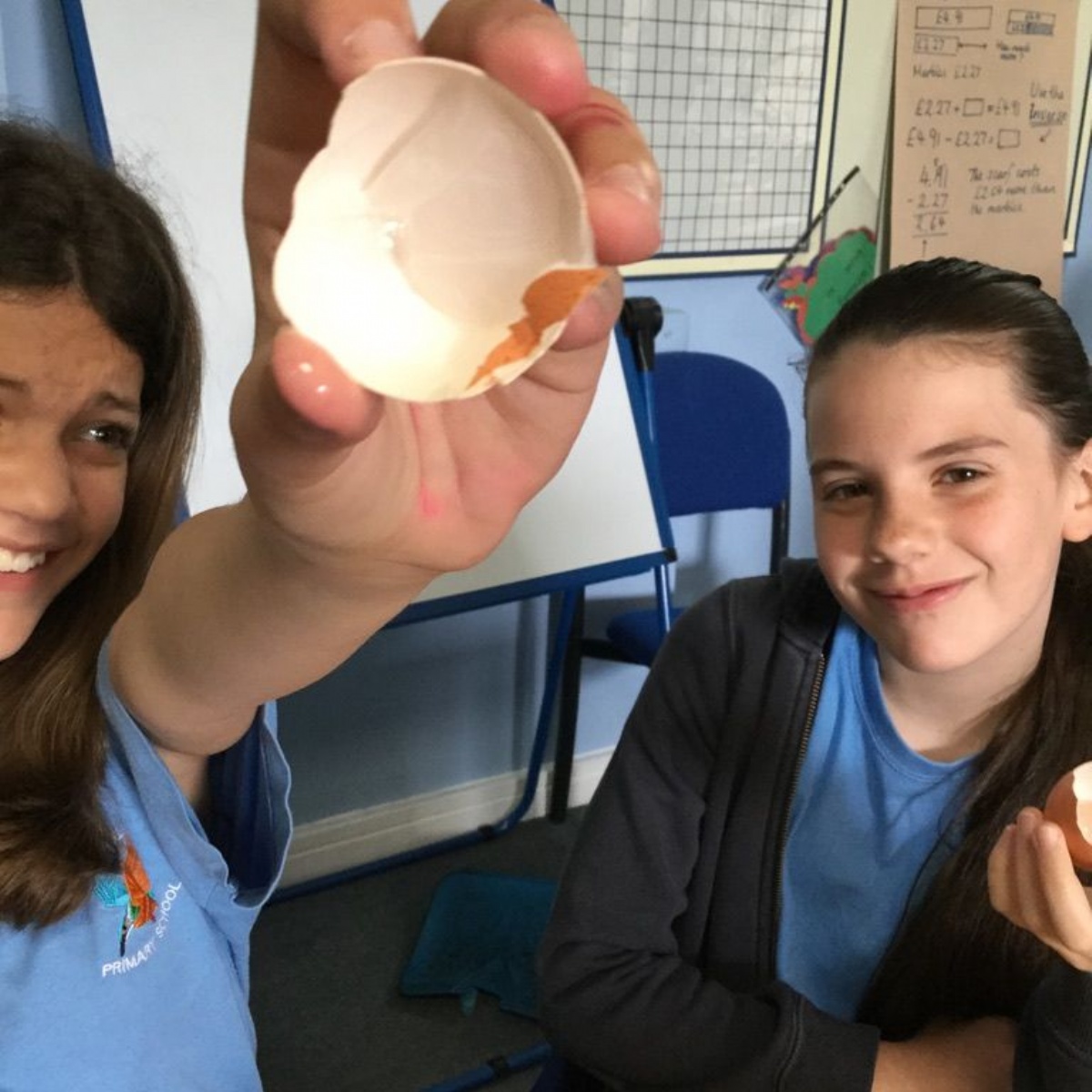 Nene Valley Primary School Dissecting an egg in Biology
